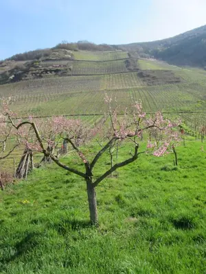 Naturlandschaft in der Nähe des Ferienhauses