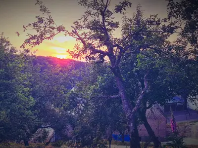 Blick auf den Sonnenuntergang/Sonnenaufgang von der Ferienwohnung aus oder aus der Nähe