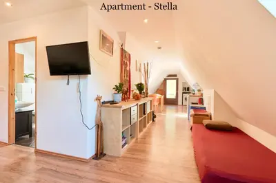 TV/Unterhaltungsangebot in der Unterkunft Villa Vici - Ferienwohnungen