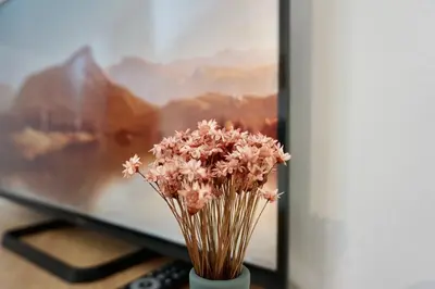 TV/Unterhaltungsangebot in der Unterkunft Stylisches Apartment für 2 Personen in historischem Fachwerkhaus 4 Etage mit Blick auf Stadt & Festung