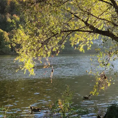 Naturlandschaft in der Nähe des Ferienhauses