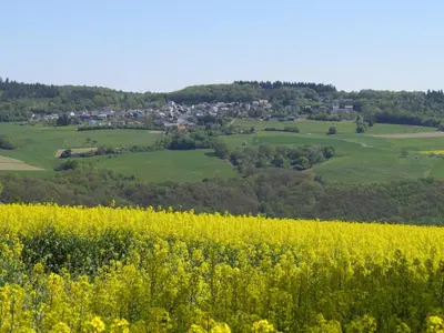 Naturlandschaft in der Nähe des Ferienhauses