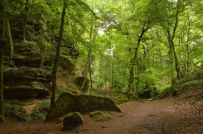 Naturlandschaft in der Nähe der Zelt-Lodge