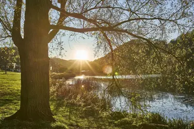 Naturlandschaft in der Nähe der Ferienwohnung