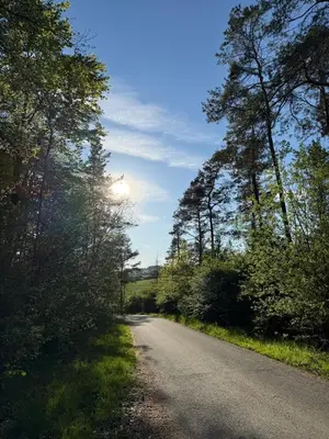 Naturlandschaft in der Nähe des Ferienhauses