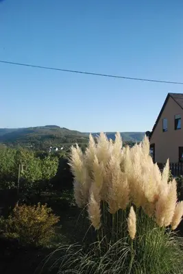 Naturlandschaft in der Nähe der Pension