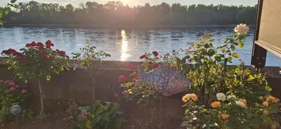 Blick auf einen Fluss in der Nähe der Ferienwohnung