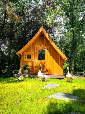 Ein Garten an der Unterkunft Sweet Tiny Cabin Perfect for a Peaceful Nature Escape in Germany