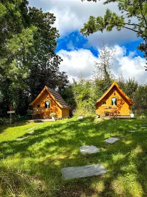 Ein Garten an der Unterkunft Sweet Tiny Cabin Perfect for a Peaceful Nature Escape in Germany