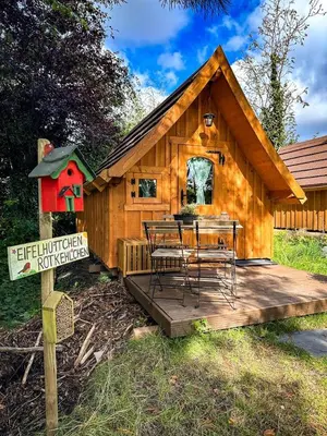 Ein Garten an der Unterkunft Sweet Tiny Cabin Perfect for a Peaceful Nature Escape in Germany