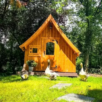 Sweet Tiny Cabin Perfect for a Peaceful Nature Escape in Germany