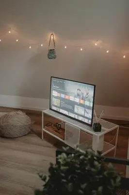 TV/Unterhaltungsangebot in der Unterkunft Cozy apartment with a stream view