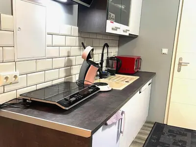 Küche/Küchenzeile in der Unterkunft Apartment in Pellingen near Moselle Valley