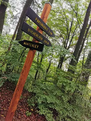 Naturlandschaft in der Nähe der Ferienwohnung