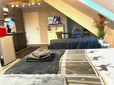 TV/Unterhaltungsangebot in der Unterkunft Romantic apartment in Pellingen