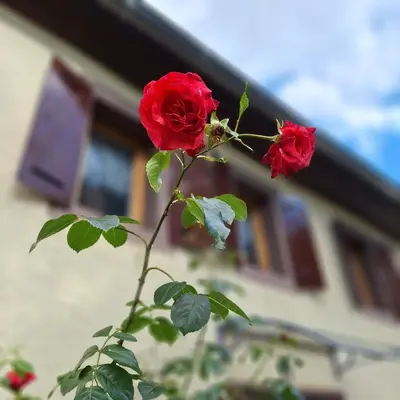 Grundriss der Unterkunft Ferienhaus Auf dem Knapp