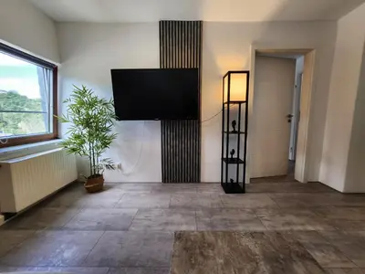 TV/Unterhaltungsangebot in der Unterkunft Ferienwohnung Friedland