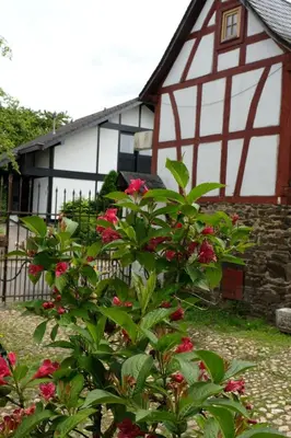Ein Garten an der Unterkunft Ferienwohnung Fränkischer Hof