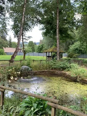 Naturlandschaft in der Nähe des Ferienhauses