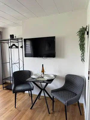 TV/Unterhaltungsangebot in der Unterkunft RheinLoft Apartment - Balkon & Parkplatz 
