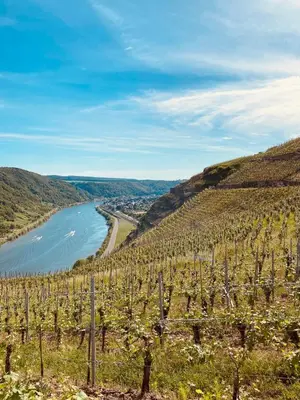 Naturlandschaft in der Nähe der Ferienwohnung