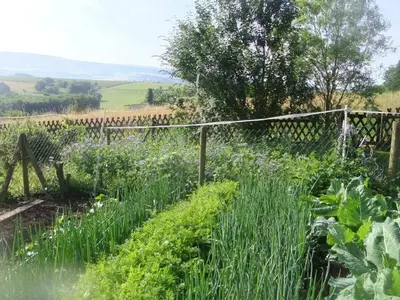 Grundriss der Unterkunft Holiday apartment Hochwald