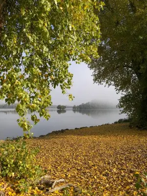 Naturlandschaft in der Nähe der Ferienwohnung