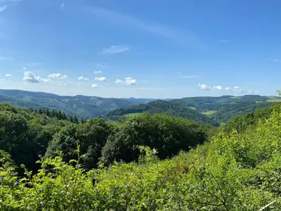 Naturlandschaft in der Nähe des Ferienhauses