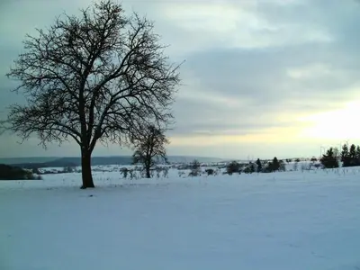 Guest rooms Eifelglück in Pelm im Winter