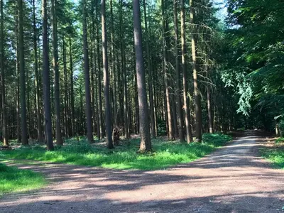 Naturlandschaft in der Nähe der Ferienwohnung