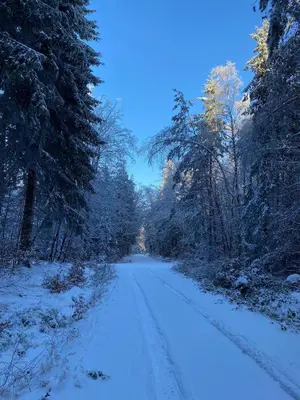 HunsrückGlück Ferienhaus am Schinderhannes-Radweg im Winter