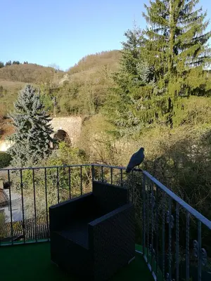 Naturlandschaft in der Nähe des Privatzimmers