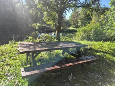 Ein Garten an der Unterkunft Ferienwohnung Julianna