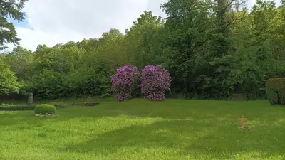 Ein Garten an der Unterkunft Beletage Alte Villa Jünkerath