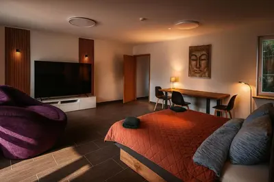 TV/Unterhaltungsangebot in der Unterkunft Luxury Amour Suite Modern Design mit Terrasse