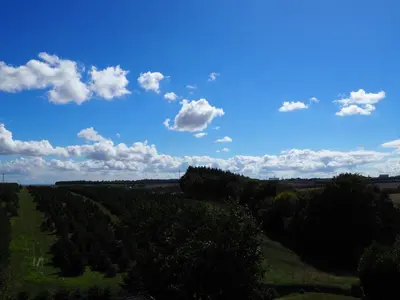 Naturlandschaft in der Nähe der Ferienwohnung