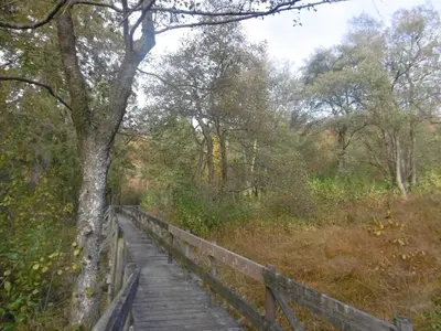 Naturlandschaft in der Nähe der Pension