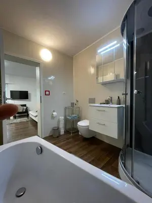 Ein Badezimmer in der Unterkunft Komfortables Einraum-Apartment in Weißenthurm