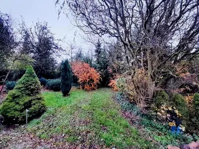 Ein Garten an der Unterkunft Eifel Garden Villa for Groups