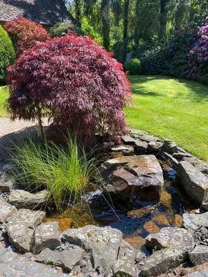 Ein Garten an der Unterkunft Urlaub an der Baybachklamm