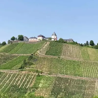Pünderich Castle View