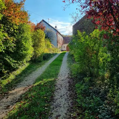 Ein Garten an der Unterkunft Ferienwohnung Bedhard - Urlaub in der Idylle