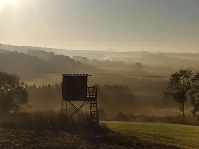 Naturlandschaft in der Nähe des Ferienhauses