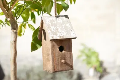 Grundriss der Unterkunft Ferienhaus Lemon Tree