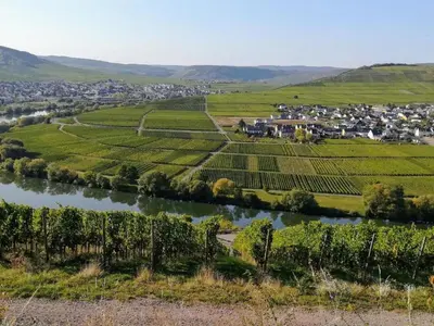 Naturlandschaft in der Nähe des Ferienhauses