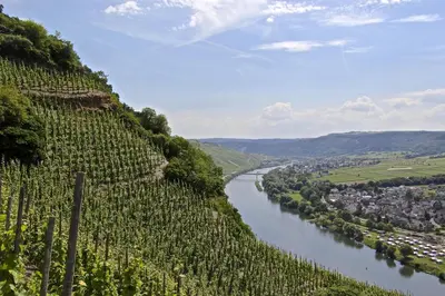 Naturlandschaft in der Nähe der Ferienwohnung