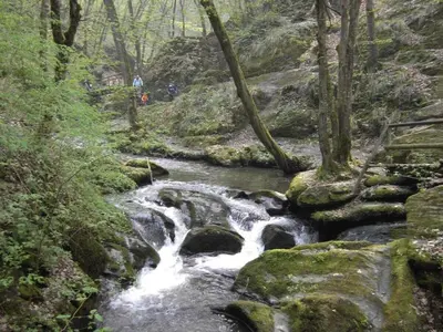 Naturlandschaft in der Nähe des Ferienhauses
