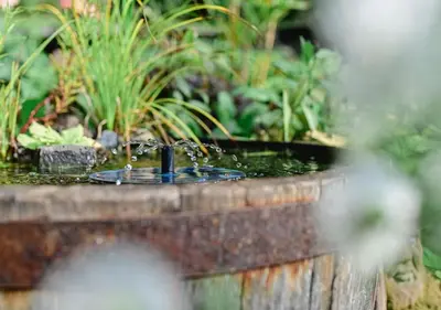 Ein Garten an der Unterkunft janzweitnah