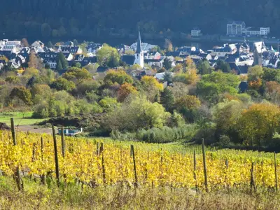 Naturlandschaft in der Nähe der Ferienwohnung