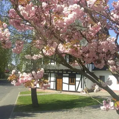 Holiday Home Romantisches Fachwerkhaus zwischen Rhein und Mosel by Interhome